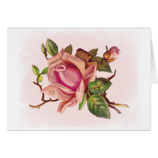 Tarjetas de Personalizable rosa rosa suave
