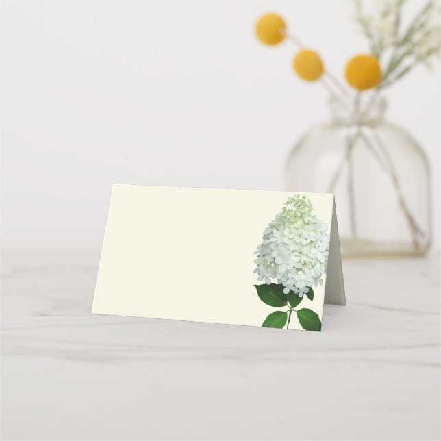Tarjetas de plaza con techo de flores de Hydrangea (Anverso)