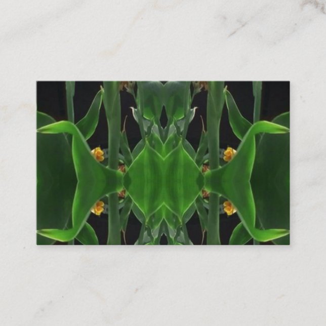 Tarjetas de presentación de datos (Anverso)