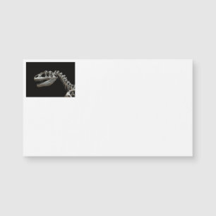 Tarjetas de presentación de Dinosaur Skeleton