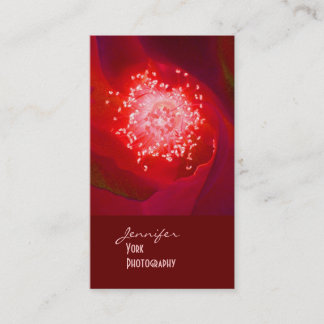 Tarjetas de presentación de fotografías Red Rose