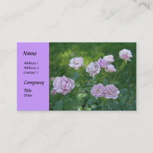 Tarjetas de presentación de hermosas rosas de seto