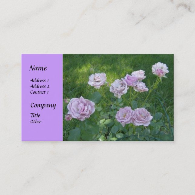 Tarjetas de presentación de hermosas rosas de seto (Anverso)