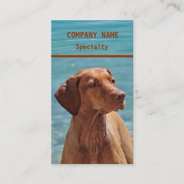 Tarjetas de presentación de perros Magyar Vizsla (Anverso)