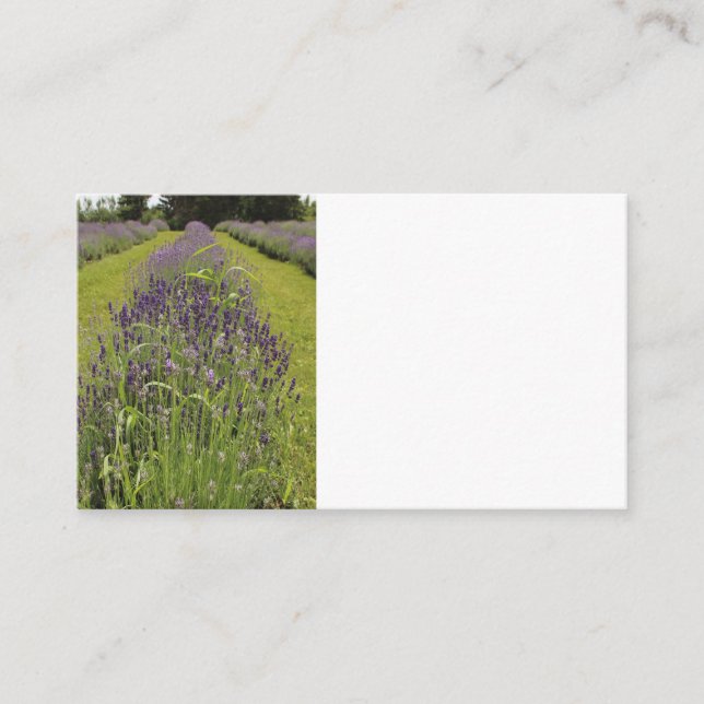 Tarjetas de presentación de Seafoam Lavender Farm (Anverso)