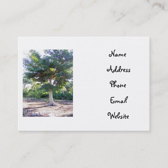 Tarjetas de presentación del Árbol de la Sabiduría (Anverso)