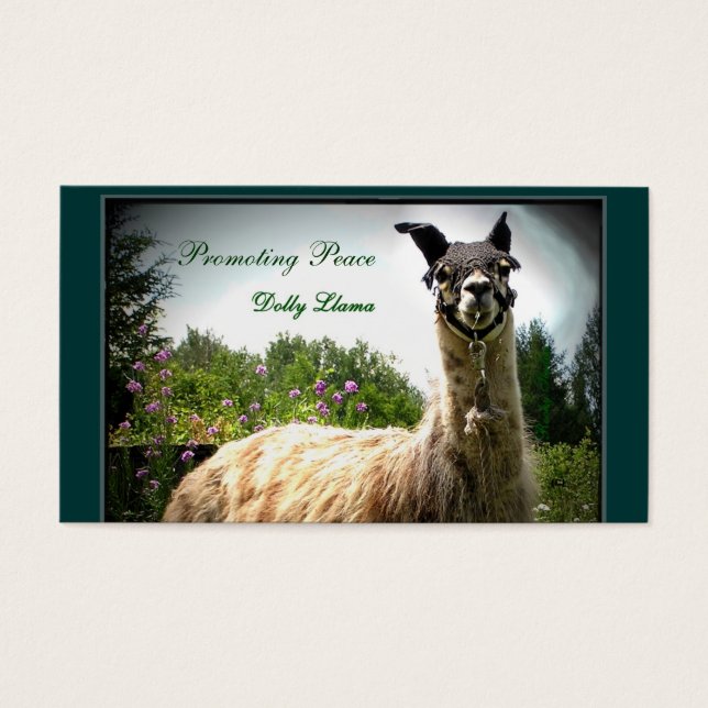 Tarjetas de presentación Dolly Llama (Frente)