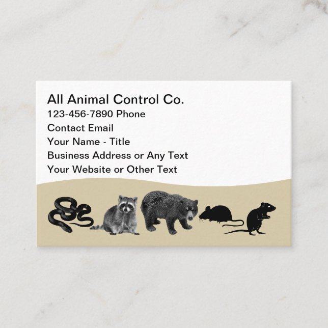 Tarjetas de Presentación Simples de Control de Ani (Anverso)