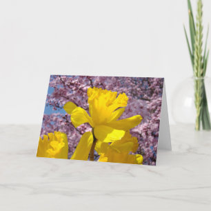 Tarjetas de primavera flores de narciso amarillas 
