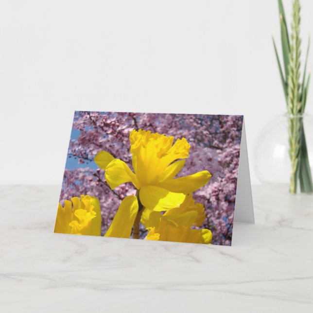 Tarjetas de primavera flores de narciso amarillas  (Anverso)