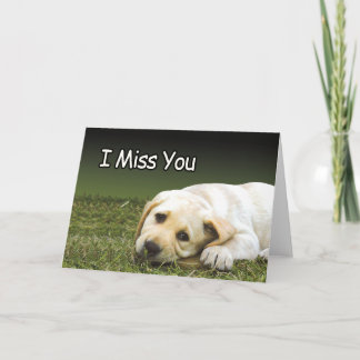 Tarjetas de prisión - Miss U