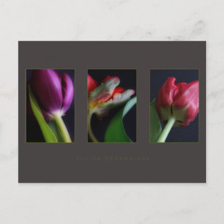 Tarjetas de publicación