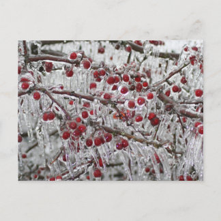 Tarjetas de publicación