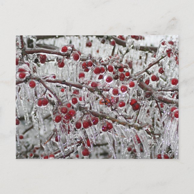 Tarjetas de publicación (Anverso)