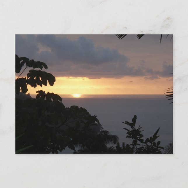 Tarjetas de publicación de Sunset (Anverso)