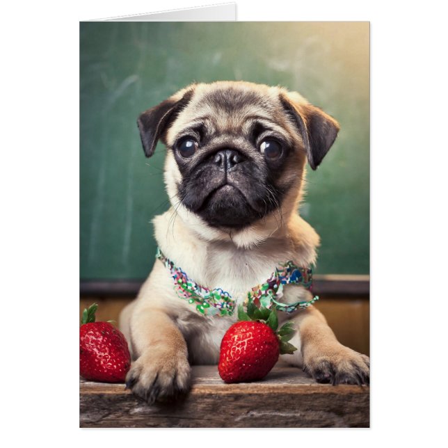 Tarjetas de Pug (Frente)