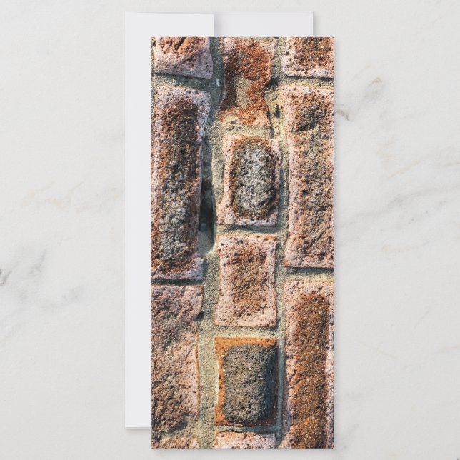 TARJETAS DE RACK DE BRICKS (Anverso)