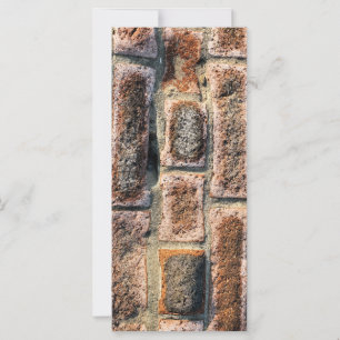 TARJETAS DE RACK DE BRICKS