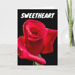 TARJETAS DE RECIBIMIENTO DE ROSA ROSA ROSA DE SWEE