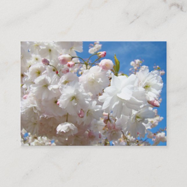 Tarjetas de Recordatorio de Cita de Primavera de F (Anverso)