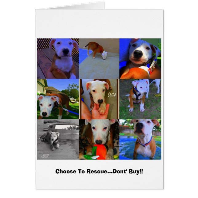 Tarjetas de rescate. (Frente)