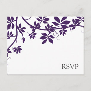 Tarjetas De Respuesta RSVP De Pluma Y Blanco