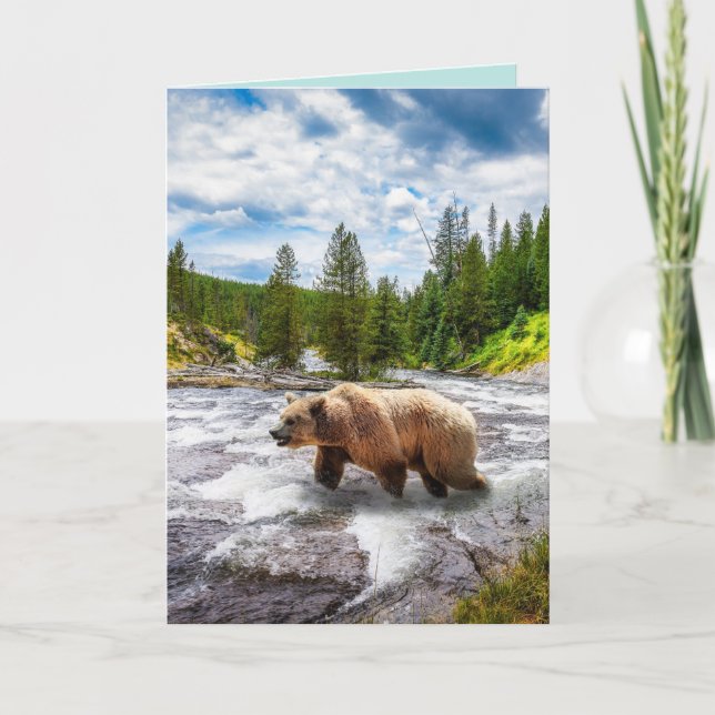 TARJETAS DE REUNIÓN DE CUMPLEAÑOS ALASKA (Anverso)
