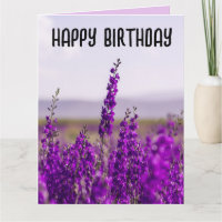 TARJETAS DE REUNIÓN DE CUMPLEAÑOS DE LAVANDERÍA