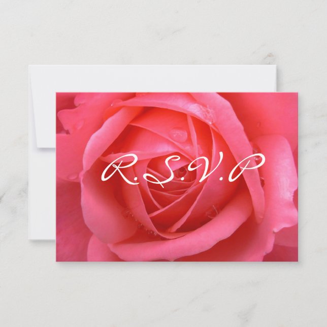 Tarjetas de rosa personalizadas RSVP de rosa rosa (Anverso)