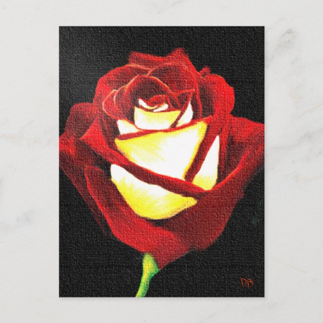 Tarjetas de Rosa rojas y blancas (Anverso)