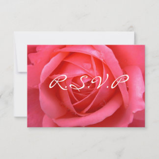 Tarjetas de Rosa Rosa Personalizadas RSVP