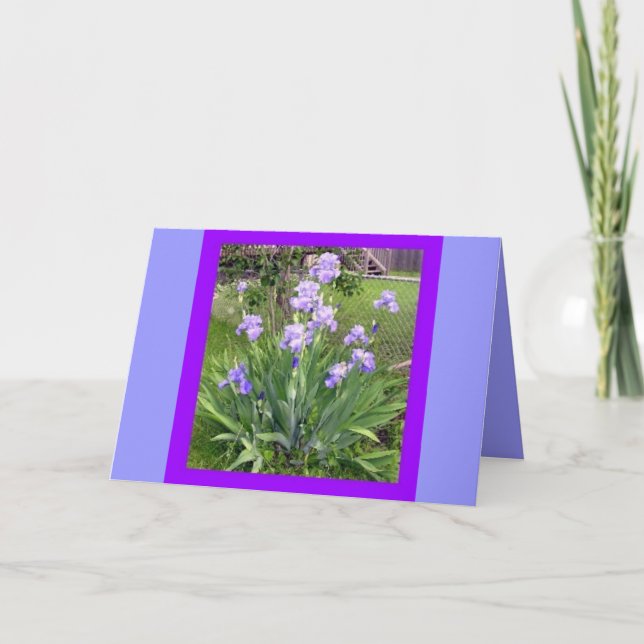 TARJETAS DE SALUD (Anverso)