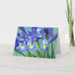 Tarjetas de saludo de arte fotográfico Primavera M