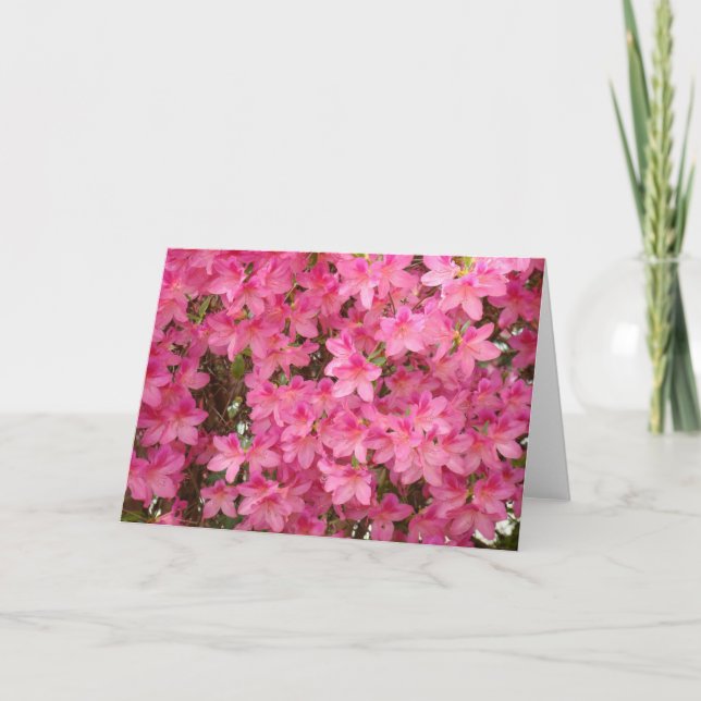 TARJETAS DE SALUDO DE AZALEAS Flores de Azalea TAR (Anverso)