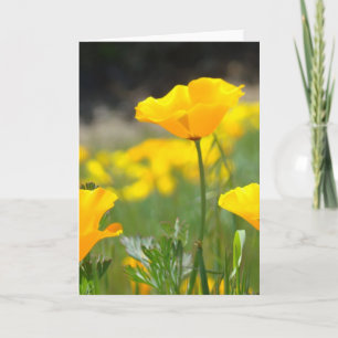 TARJETAS DE SALUDO DE FLORES DE AMAPOLAS AMAPOLA