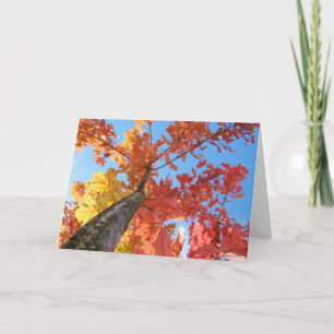 Tarjetas de saludo de hojas de otoño Árbol de otoñ