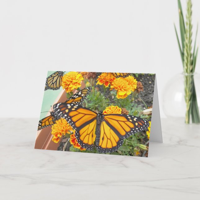 Tarjetas de saludo de mis mariposas monarca (Anverso)