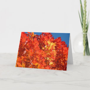 Tarjetas de saludo de otoño Tarjetas de saludo nar