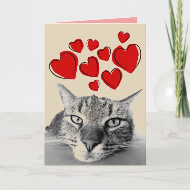 TARJETAS DE SALUDO DEL DÍA DE SAN VALENTÍN DE GATO (Anverso)