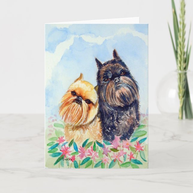 Tarjetas de saludo Griffon de Bruselas (Anverso)
