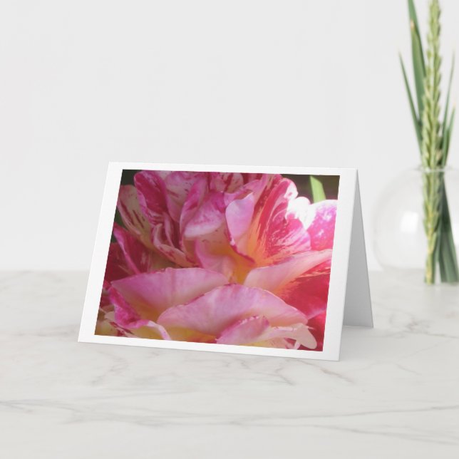Tarjetas de saludo o de nota para Rosa de flúter d (Anverso)