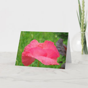 Tarjetas de saludo personalizadas Flor de amapola