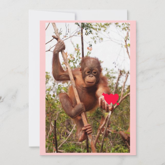 Tarjetas de San Valentín de Orangutan (Anverso)