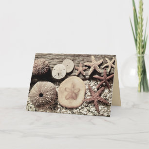 Tarjetas de Sanibel y Captiva