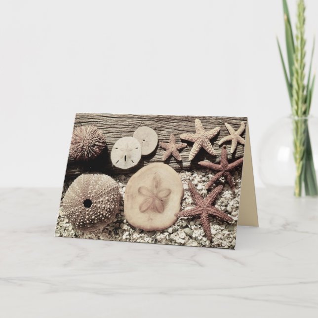 Tarjetas de Sanibel y Captiva (Anverso)