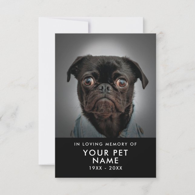 Tarjetas de simpatía mascota (Anverso)