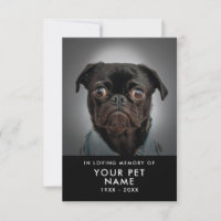 Tarjetas de simpatía mascota