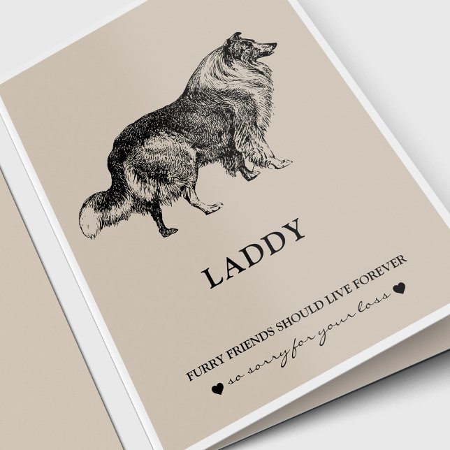 Tarjetas de simpatía mascota | Mejor amigo Collie (Pet Loss, Pet Memorial sympathy card for a Collie dog. Dog lover.)