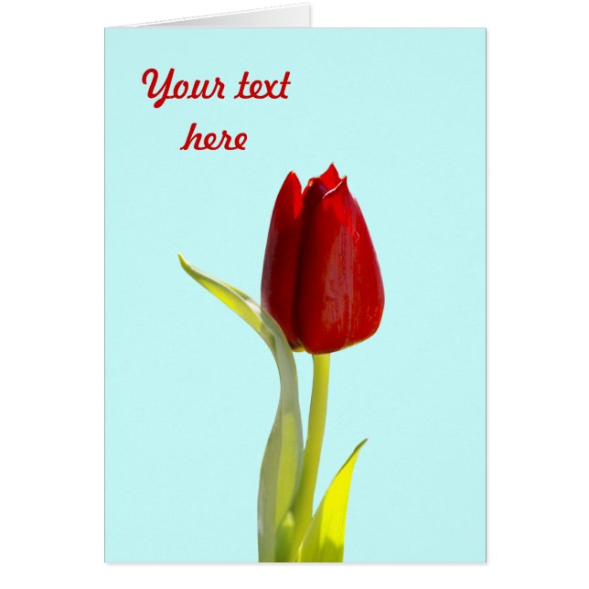 Tarjetas de Tulipán (Frente)