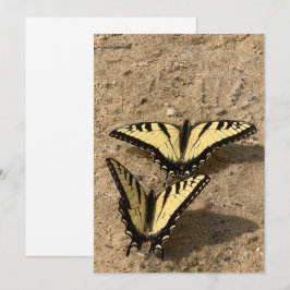 Tarjetas de vacaciones planas de mariposas en la p